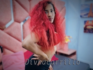 Divhacarrillo