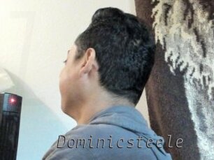 Dominicsteele