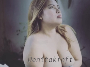 donitakroft Livestrip Cams