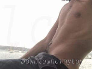 Downlowhornytoy
