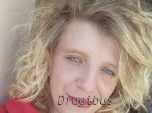 Dragibus