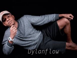 Dylanflow