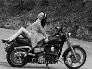Dynaharley