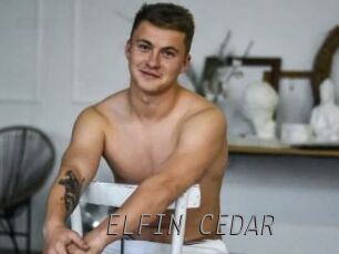 ELFIN_CEDAR