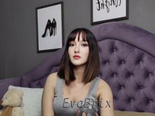 EvaBrix