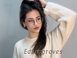 edinagroves Livestrip Cams