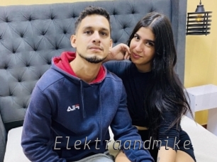 Elektraandmike