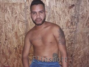 eliashott Livestrip Cams