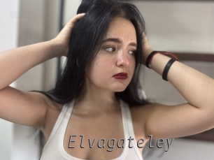 Elvagateley