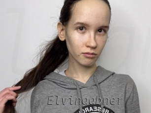 Elvinaabner