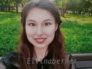 Elvinaberner