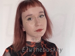 Elwinebuskey