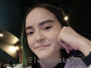 Elwinehakey