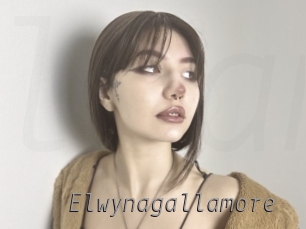 Elwynagallamore