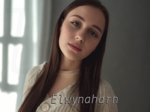 elwynaharn Livestrip Cams