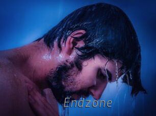 endzone Livestrip Cams