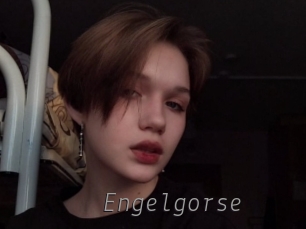 Engelgorse