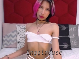 engelrouse Livestrip Cams