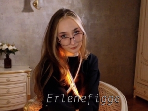 erlenefigge Livestrip Cams