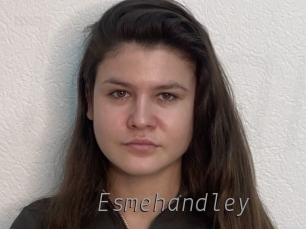 Esmehandley