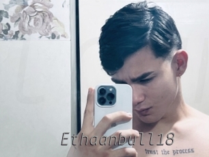 Ethaanbull18