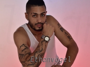 ethanvogel Livestrip Cams