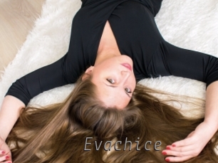 Evachice