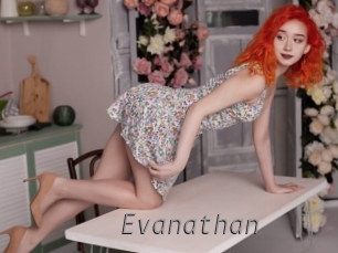 evanathan Livestrip Cams