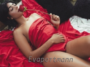 evaportmann Livestrip Cams