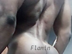 Flamin