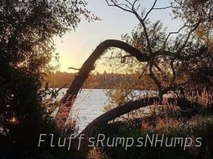 FluffsRumpsNHumps