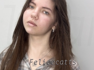 Felicecatts