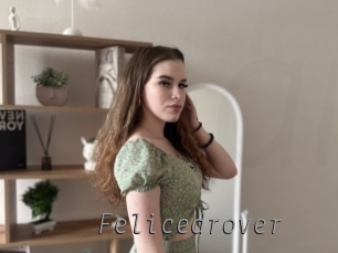 Felicedrover