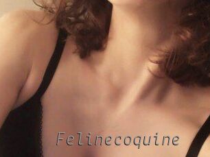 Felinecoquine