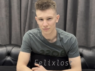 felixlost Livestrip Cams