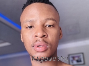 figowethu Livestrip Cams
