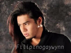 Filipinogaywynn