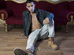 foxandy Livestrip Cams