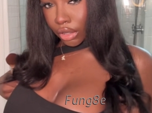 fung8e Livestrip Cams