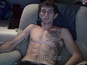 Gnomeo Livestrip Cams