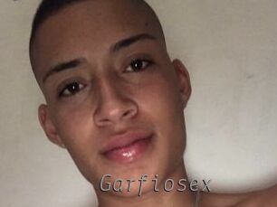 Garfiosex