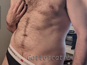 gattorcatnb Livestrip Cams