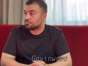 gavinwood Livestrip Cams