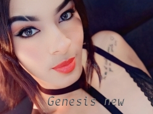 genesis_new Livestrip Cams