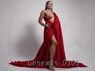 Genexis_0101