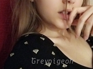 greypigeon Livestrip Cams