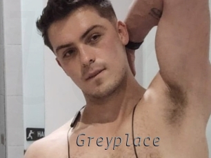 greyplace Livestrip Cams