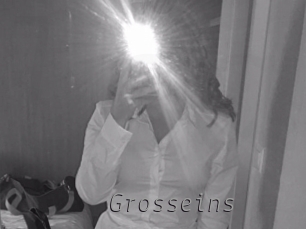 Grosseins