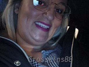 grosseins88 Livestrip Cams