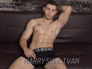 HARRYSULLIVAN